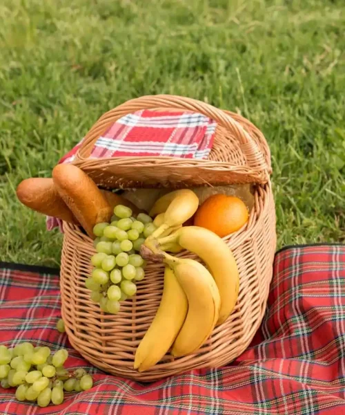 بهترین سبد پیک نیک