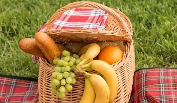 بهترین سبد پیک نیک